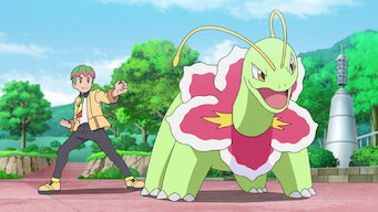 Pokémon Journeys: The Series: Pokémon Journeys: The Series: Dreams Are Made of These!